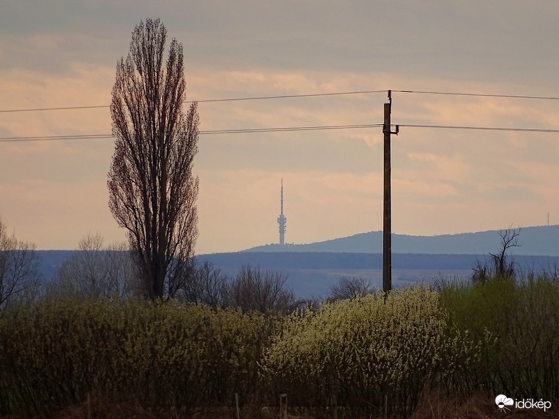 A pécsi tv-torony