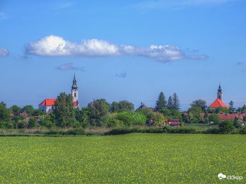 Hercegszántó határában