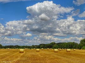 Aratás után