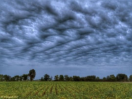 Kevert hullámfelhők(undulatus asperatus) jelentek meg estefelé az égen