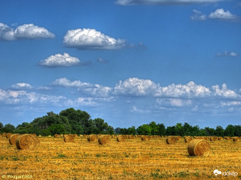 Aratás után