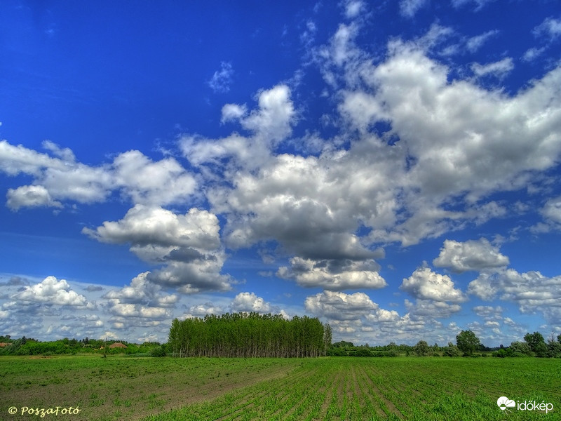 Május
