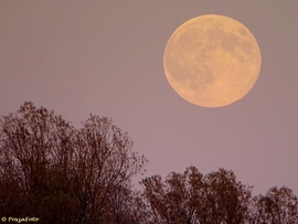 Felkelt az év legnagyobb teliholdja