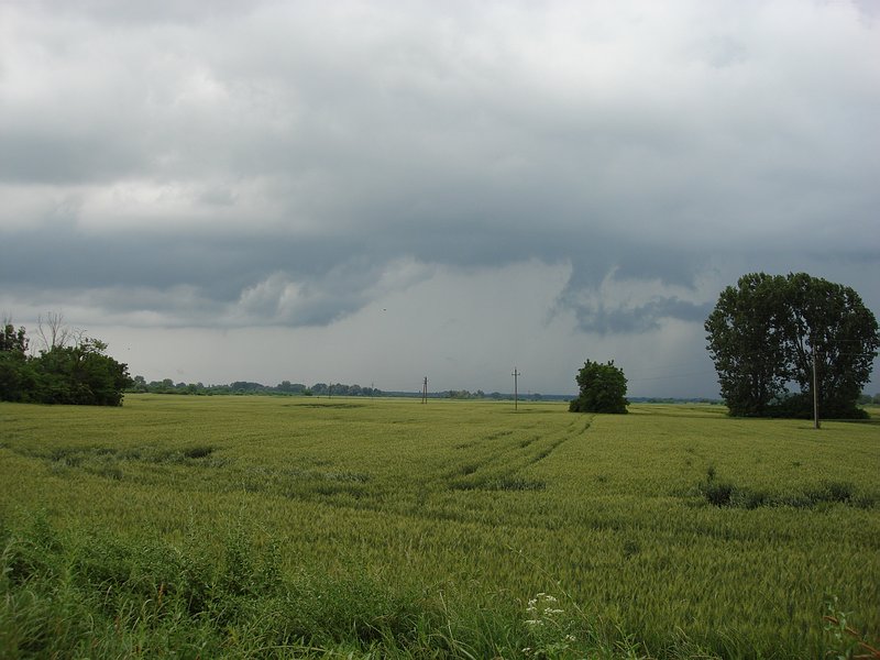 Dávod