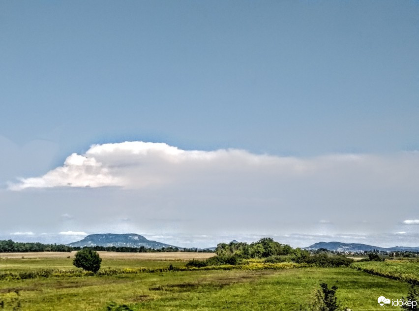 Mány