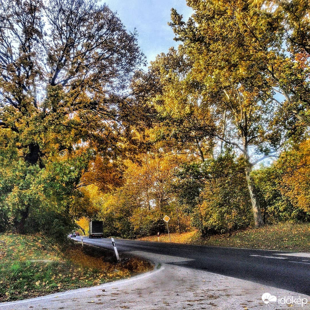 Mány