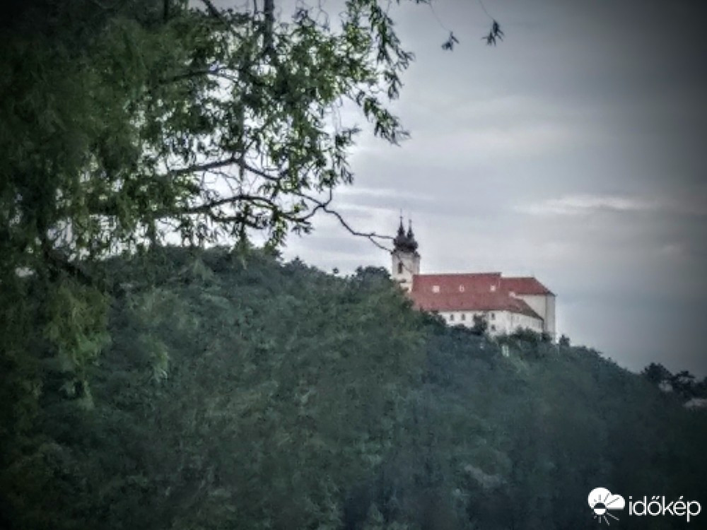 Mány