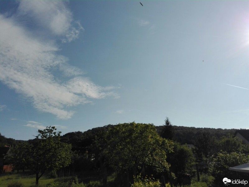 Észlelési fényképek