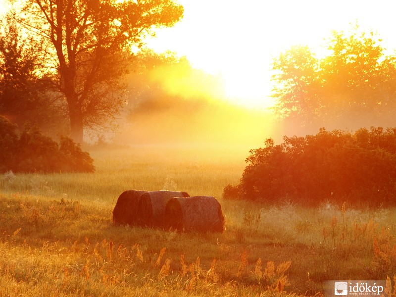 Polgár, Tisza-gát