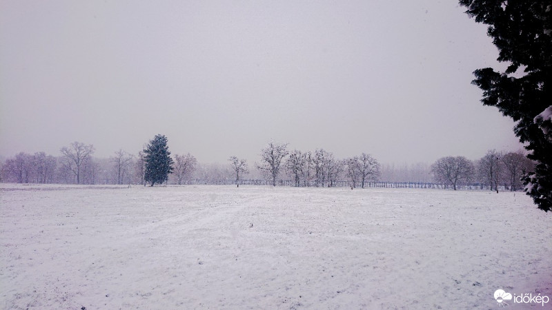 Tószeg