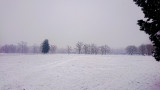 Tószeg