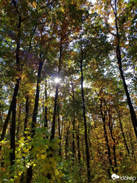Budapest XV.ker - Pestújhely