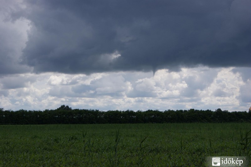 Karcag