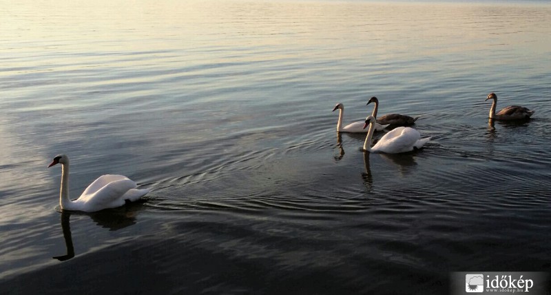 Nagycsaládos vonulás