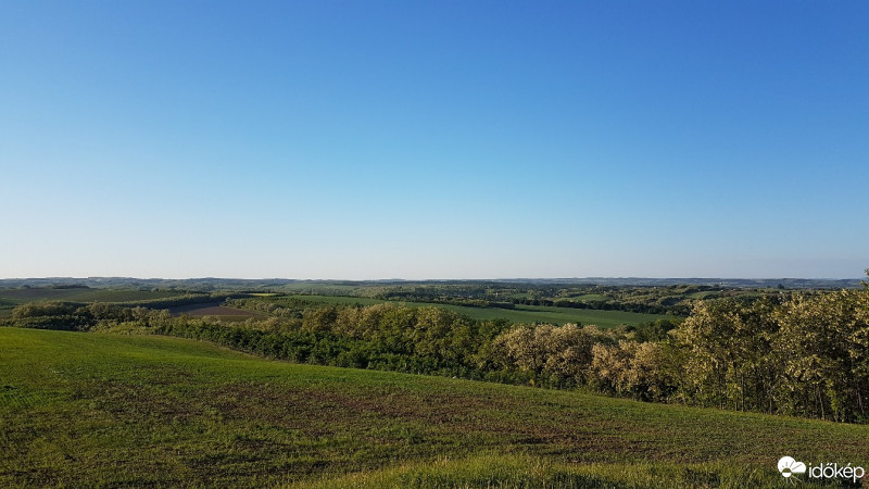 Nagyveleg