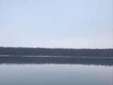 Fajsz