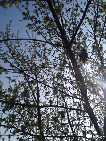 Süttő