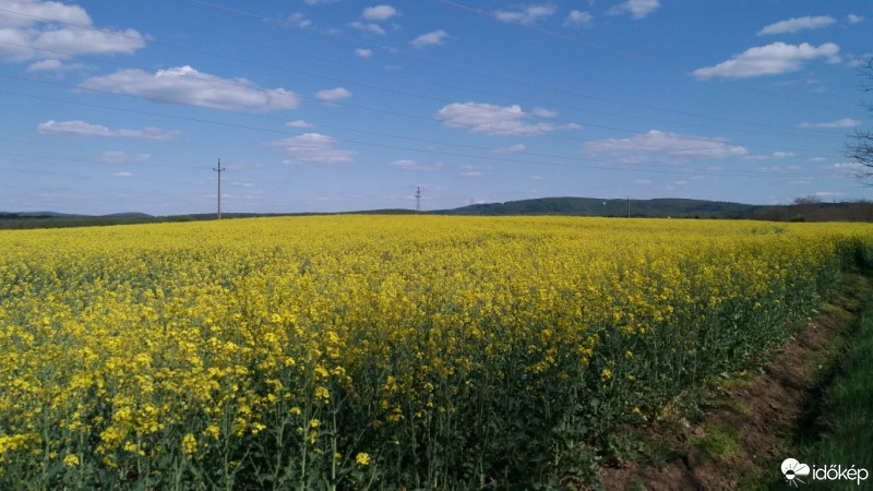 Környe