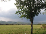 Bódvarákó
