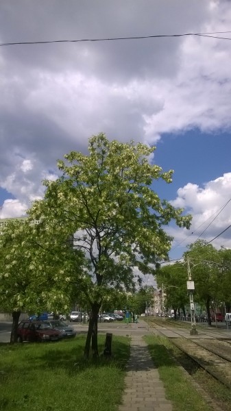 Budapest VIII. ker