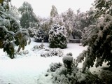 Nyúli havas kert,gyönyörű :)