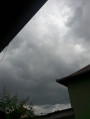 Polgár