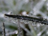 Esőcseppek 2.