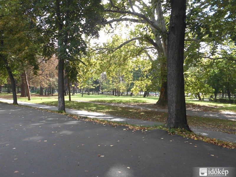 Őszülő egri Népkert(érsekkert)(2014.09.19. 14:06)