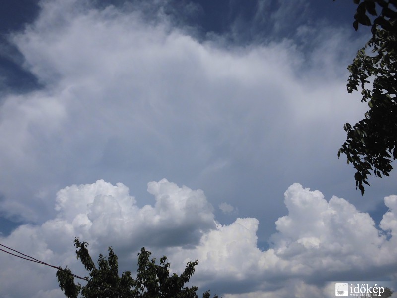 AZ Eged-hegyi góc üllője