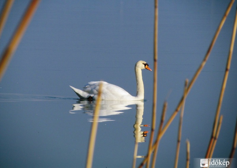 Badacsonyból, magányosan