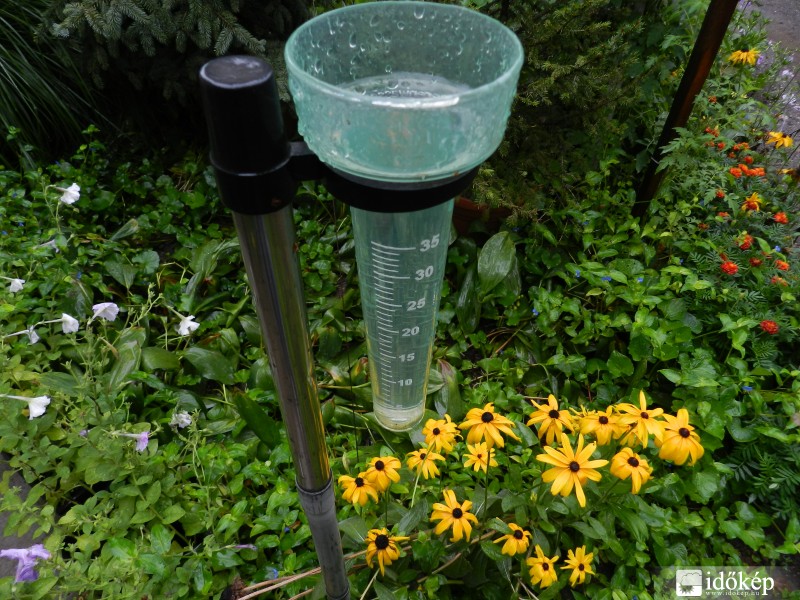 "zöldike" csapadékkal a pereméig 51,3mm.