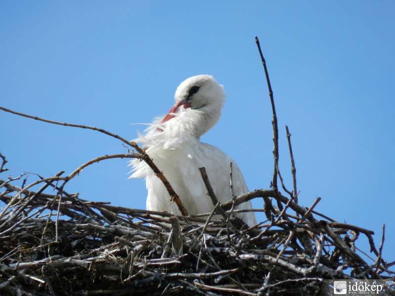 Durcás hangulatban.