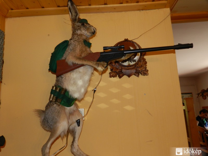 Még valaki azt mondja, hogy nem "nyúl viszi a puskát"?