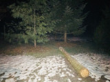 Mezőtúr