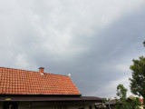 Mikepércs