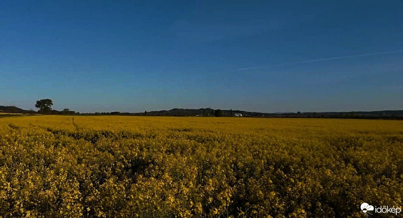 Győr