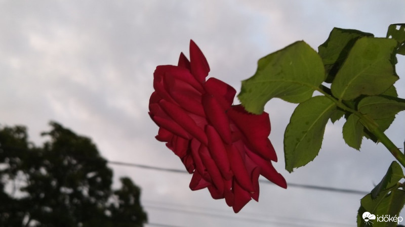 Budapest XX.ker - Pesterzsébet