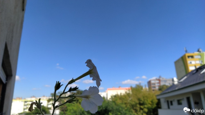 Budapest XIV.ker - Alsórákos