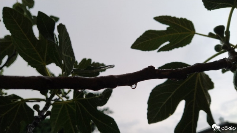 Budapest XX.ker - Pesterzsébet