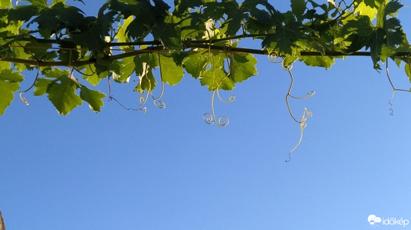 Budapest XX.ker - Pesterzsébet