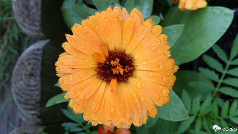 Budapest XX.ker - Pesterzsébet