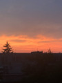 Nyíregyháza