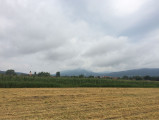 Pilisvörösvár