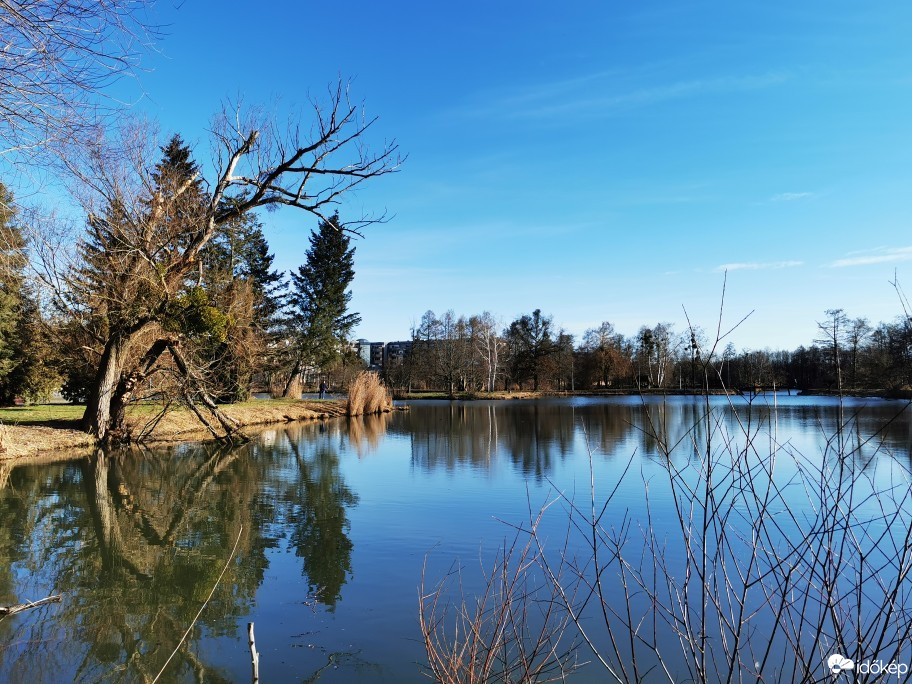 Pápa