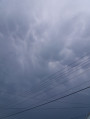Mezőlak