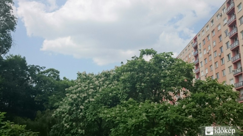 Budapest XV.ker - Pestújhely