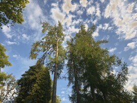 Nagykanizsa