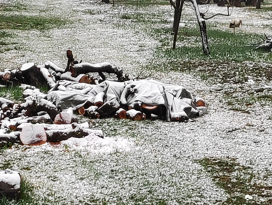 Sajnos nem lett jó minőségű a kép, de remélhetőleg látszik a gólya!