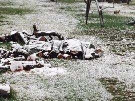 Sajnos nem lett jó minőségű a kép, de remélhetőleg látszik a gólya!