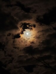 Hódmezővásárhely